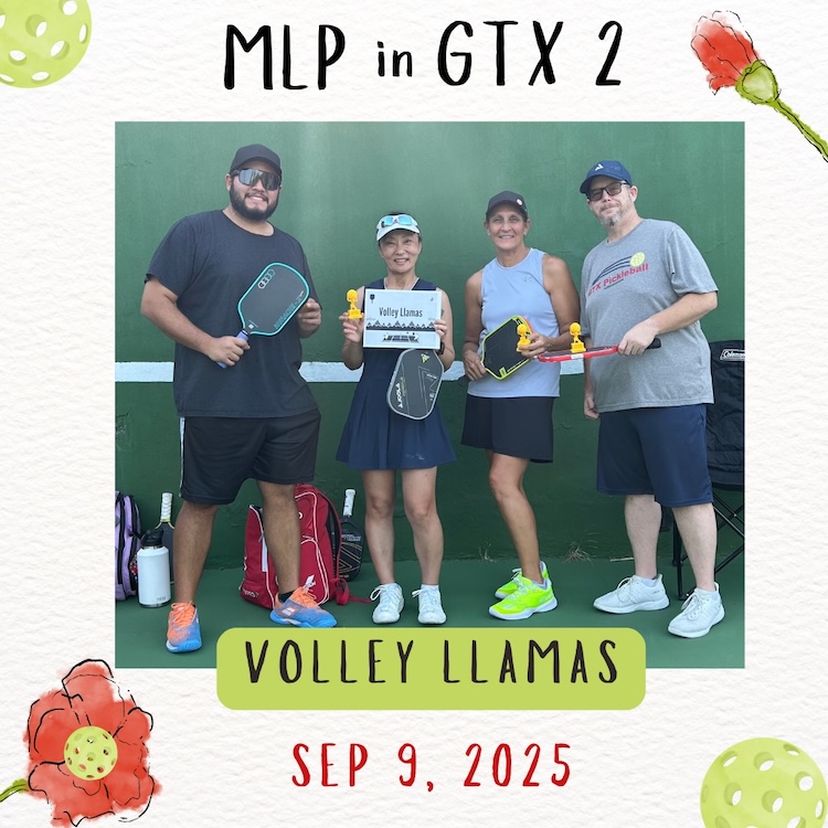 Volley Llamas Team